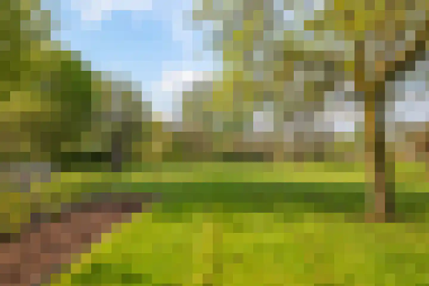 Rijndijk 9 Doornenburg thumbnail 64