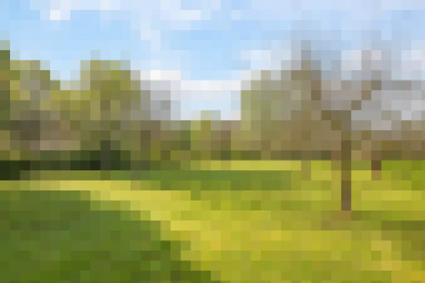 Rijndijk 9 Doornenburg thumbnail 65