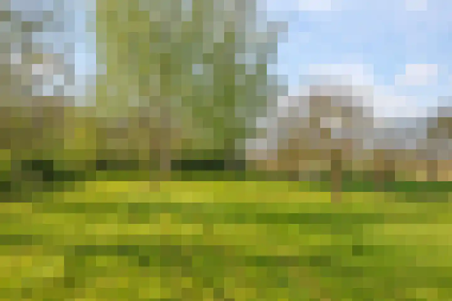 Rijndijk 9 Doornenburg thumbnail 66