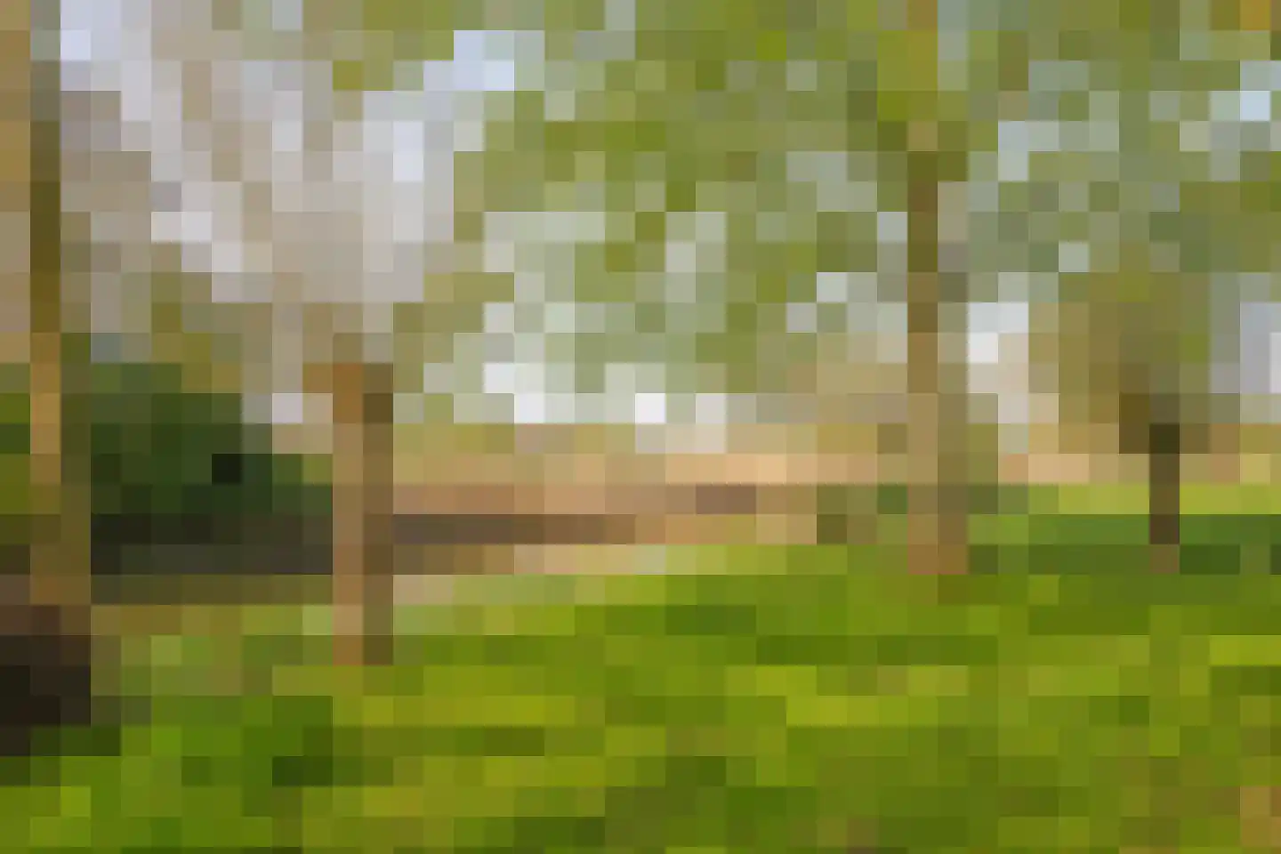 Rijndijk 9 Doornenburg thumbnail 67