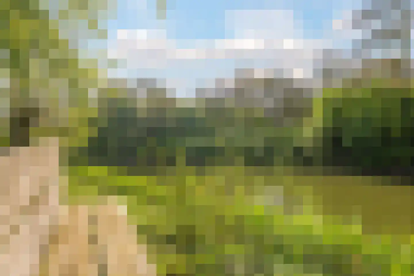 Rijndijk 9 Doornenburg thumbnail 68