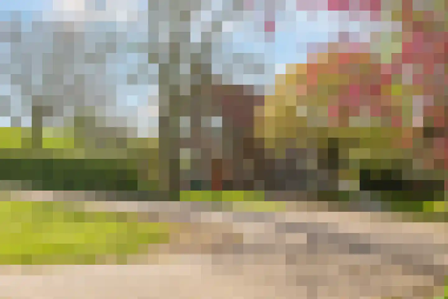 Rijndijk 9 Doornenburg thumbnail 7