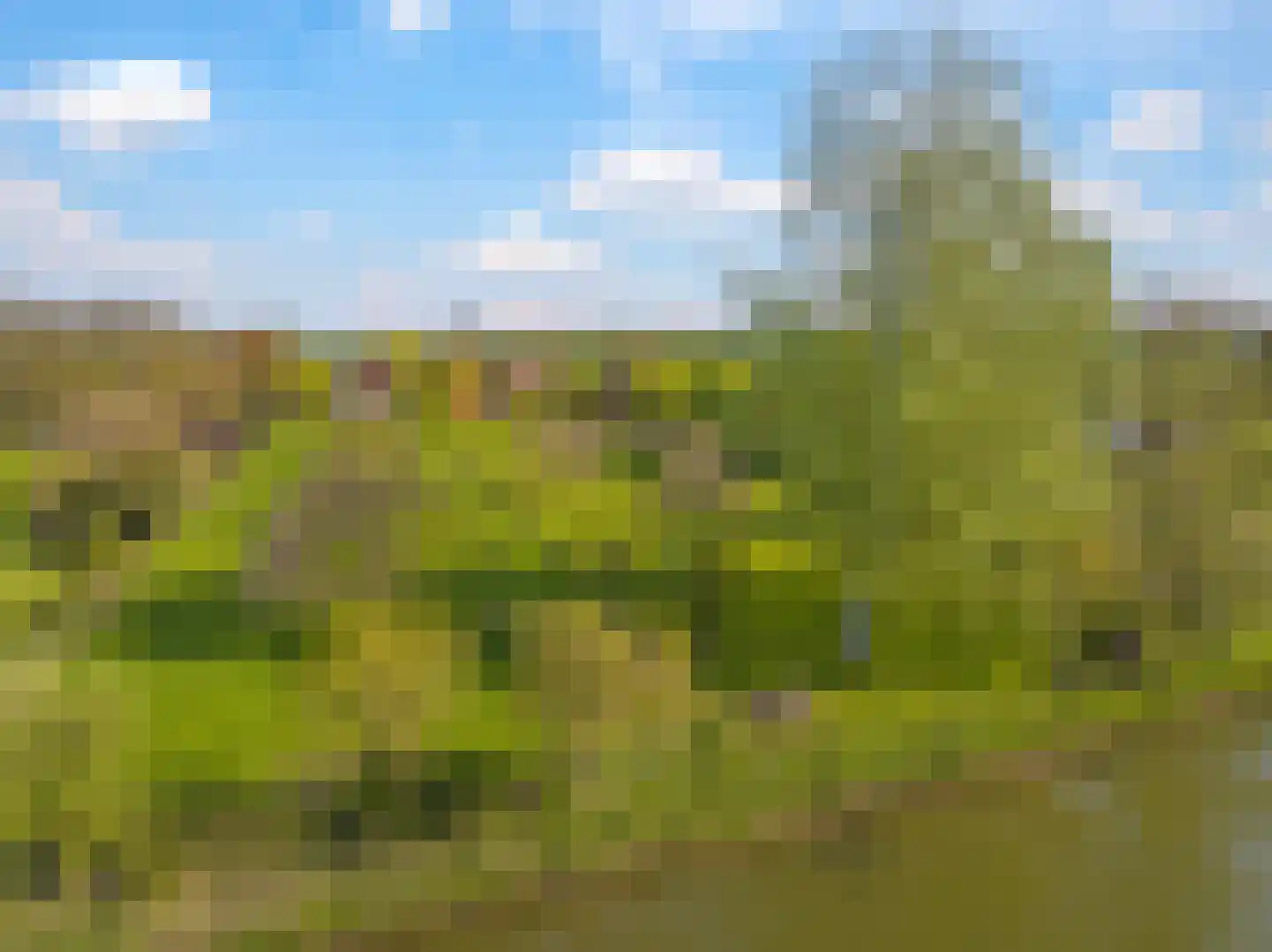 Rijndijk 9 Doornenburg thumbnail 70