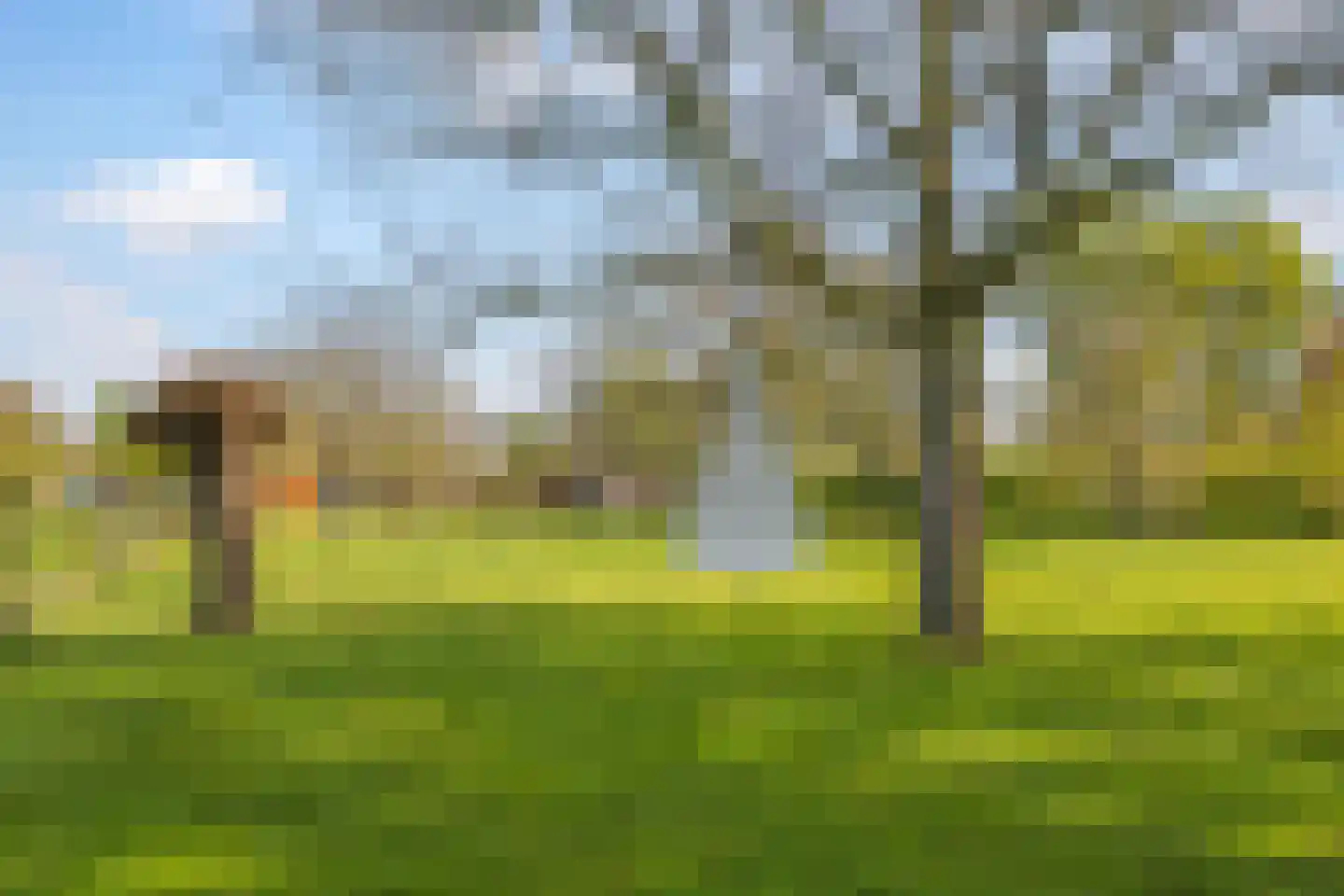 Rijndijk 9 Doornenburg thumbnail 71