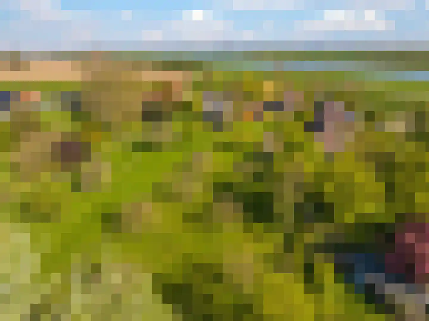 Rijndijk 9 Doornenburg thumbnail 72