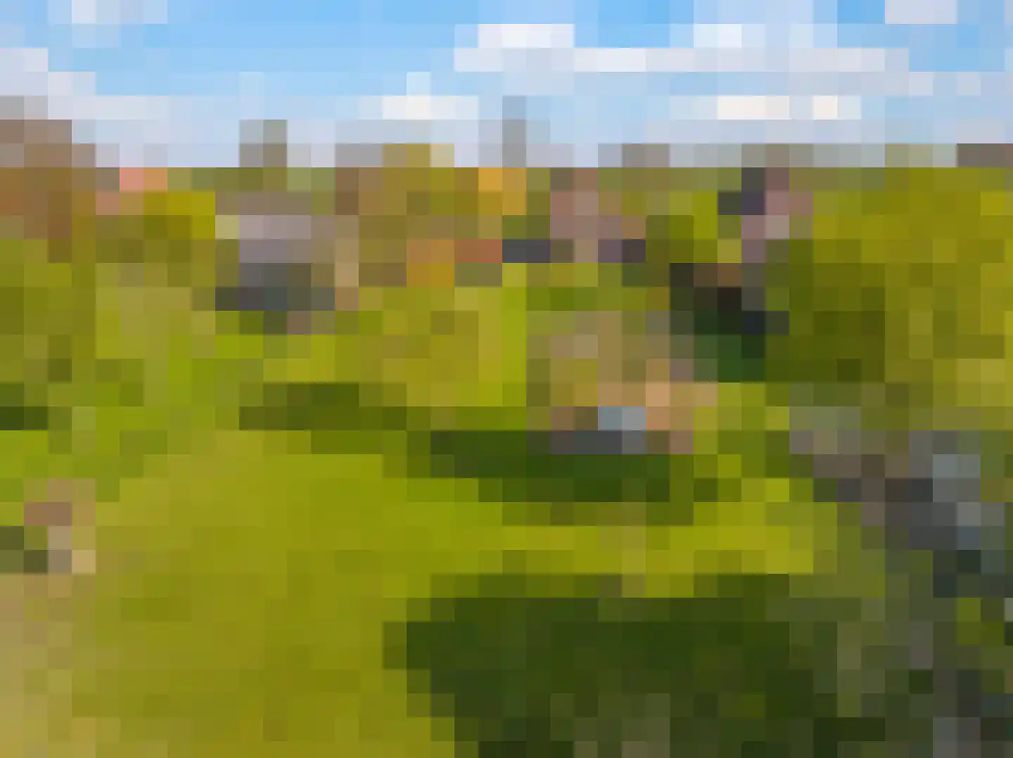 Rijndijk 9 Doornenburg thumbnail 73