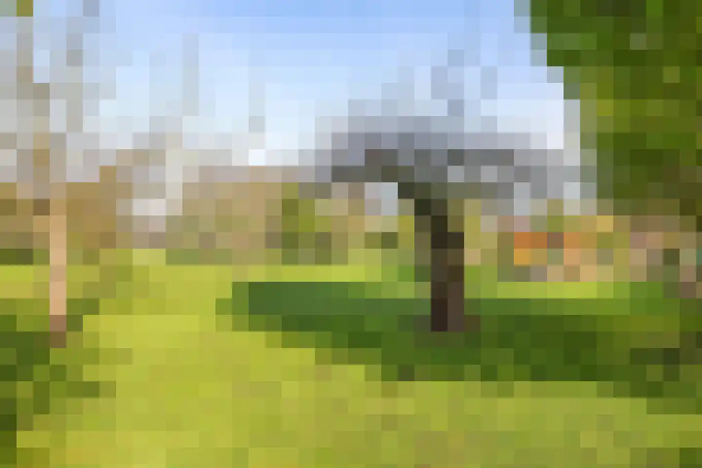 Rijndijk 9 Doornenburg thumbnail 76