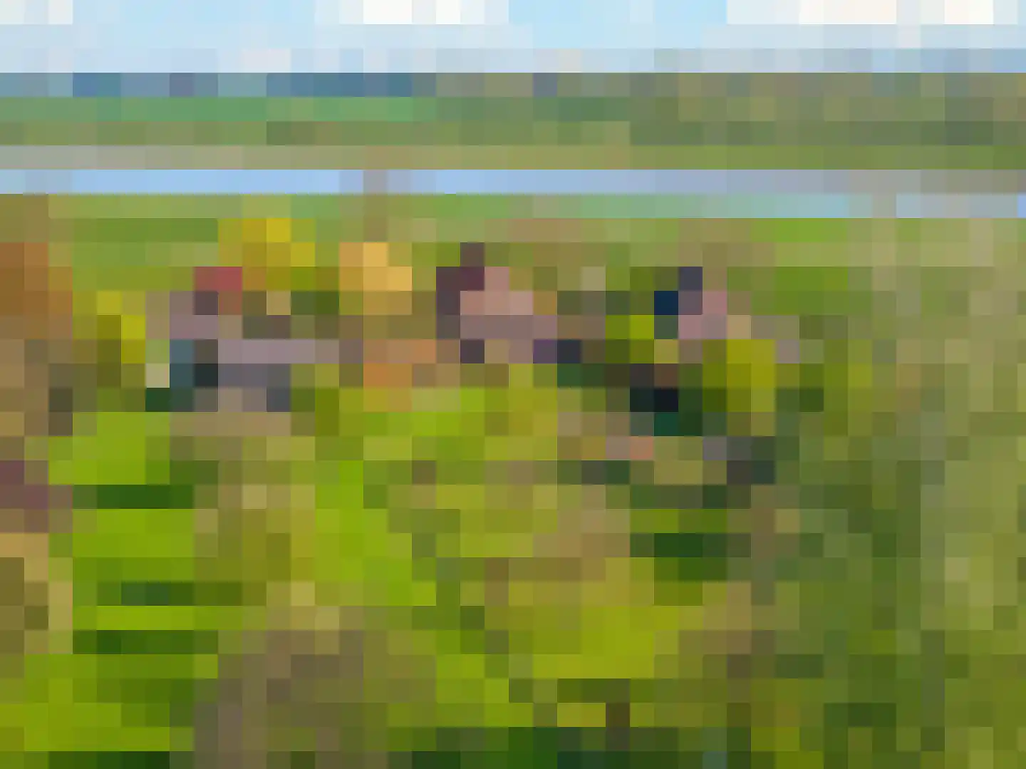 Rijndijk 9 Doornenburg thumbnail 77