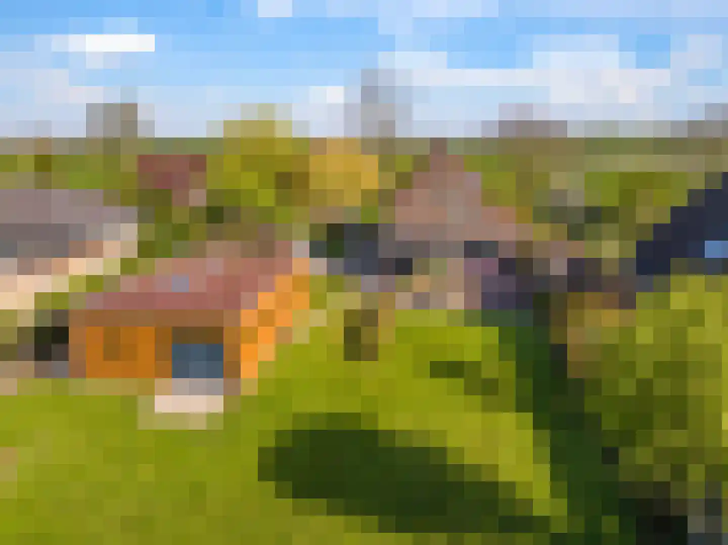 Rijndijk 9 Doornenburg thumbnail 78