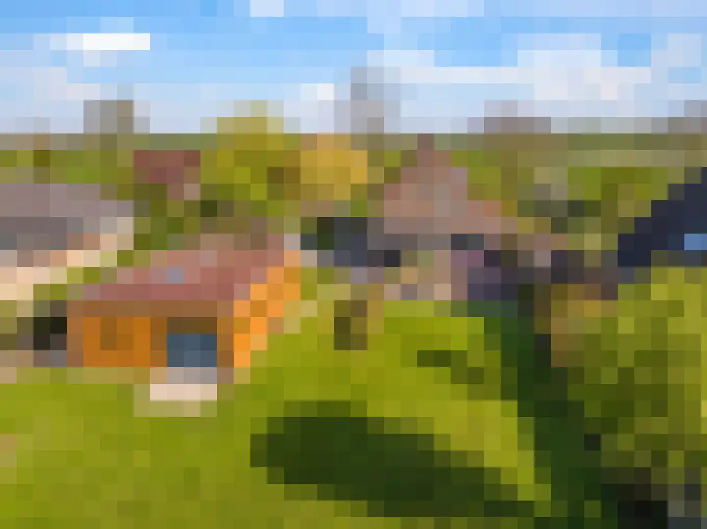 Rijndijk 9 Doornenburg thumbnail 78
