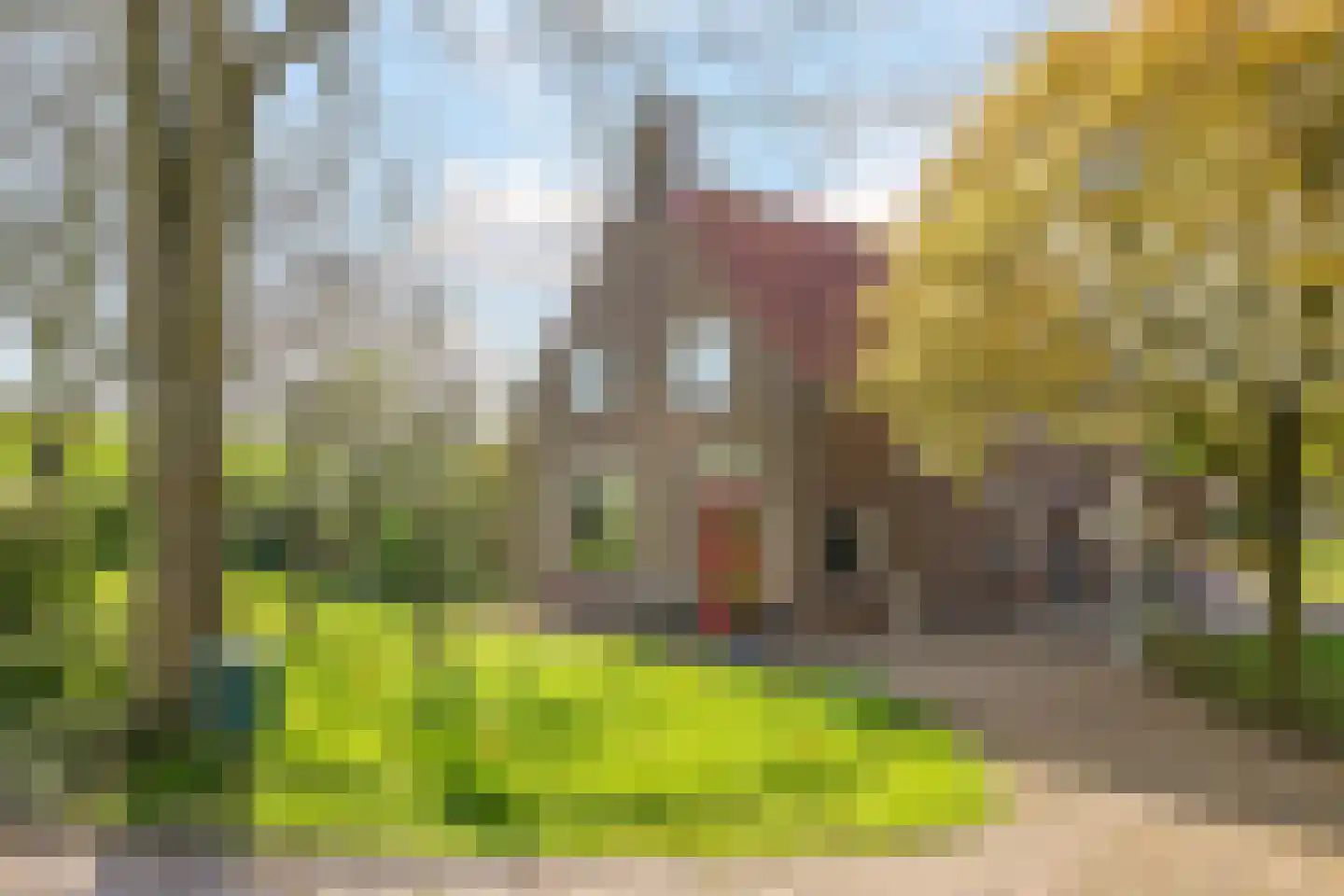 Rijndijk 9 Doornenburg thumbnail 8