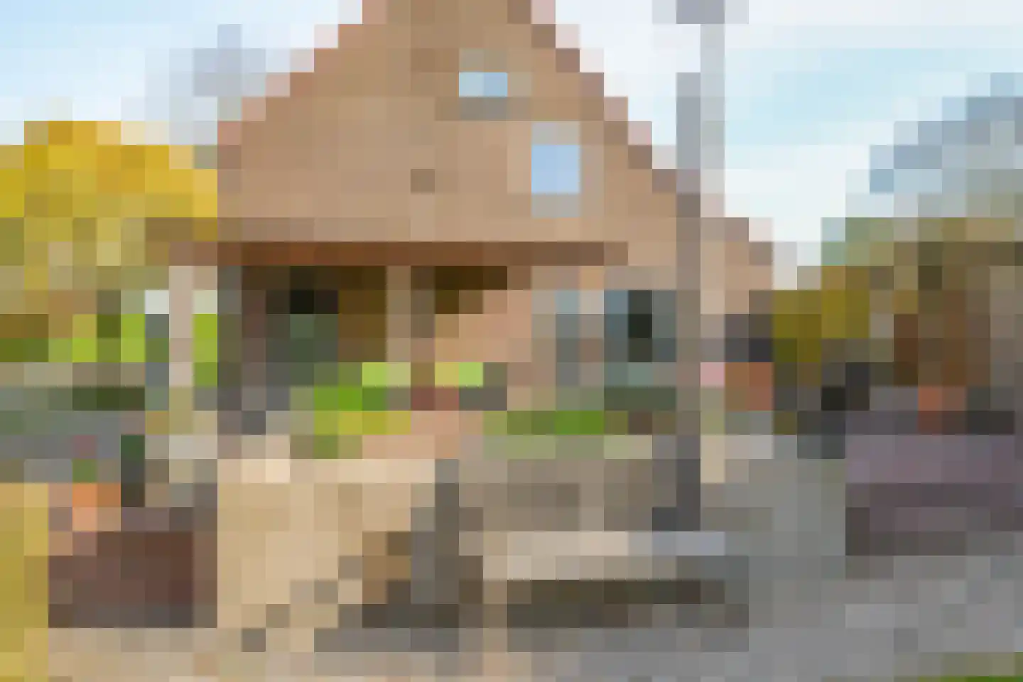 Rijndijk 9 Doornenburg thumbnail 81