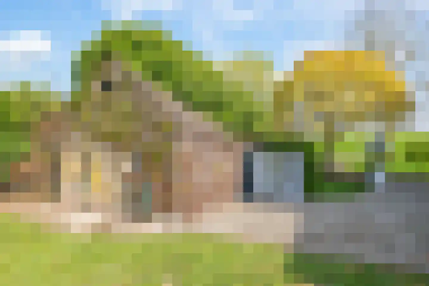 Rijndijk 9 Doornenburg thumbnail 94