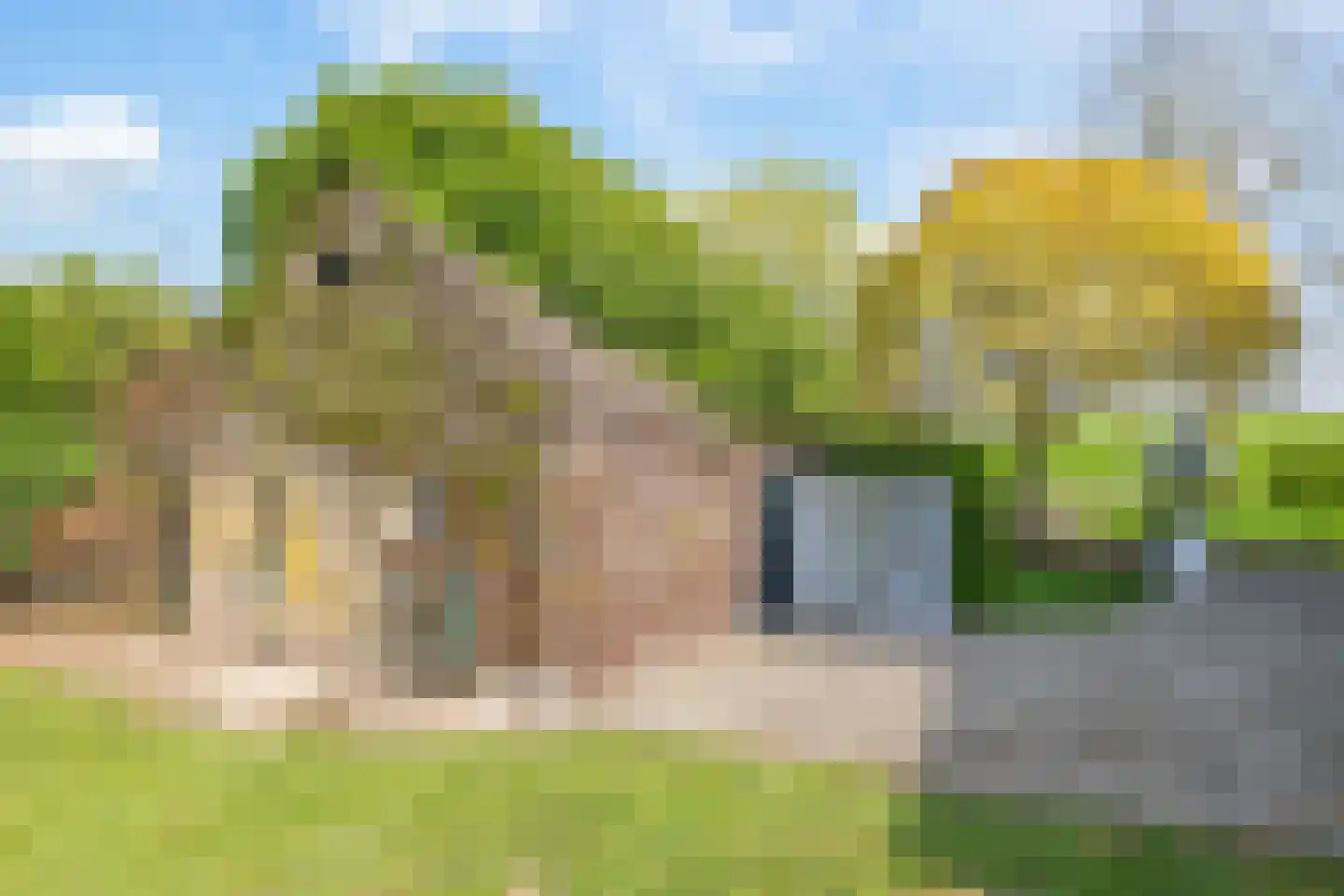 Rijndijk 9 Doornenburg thumbnail 94