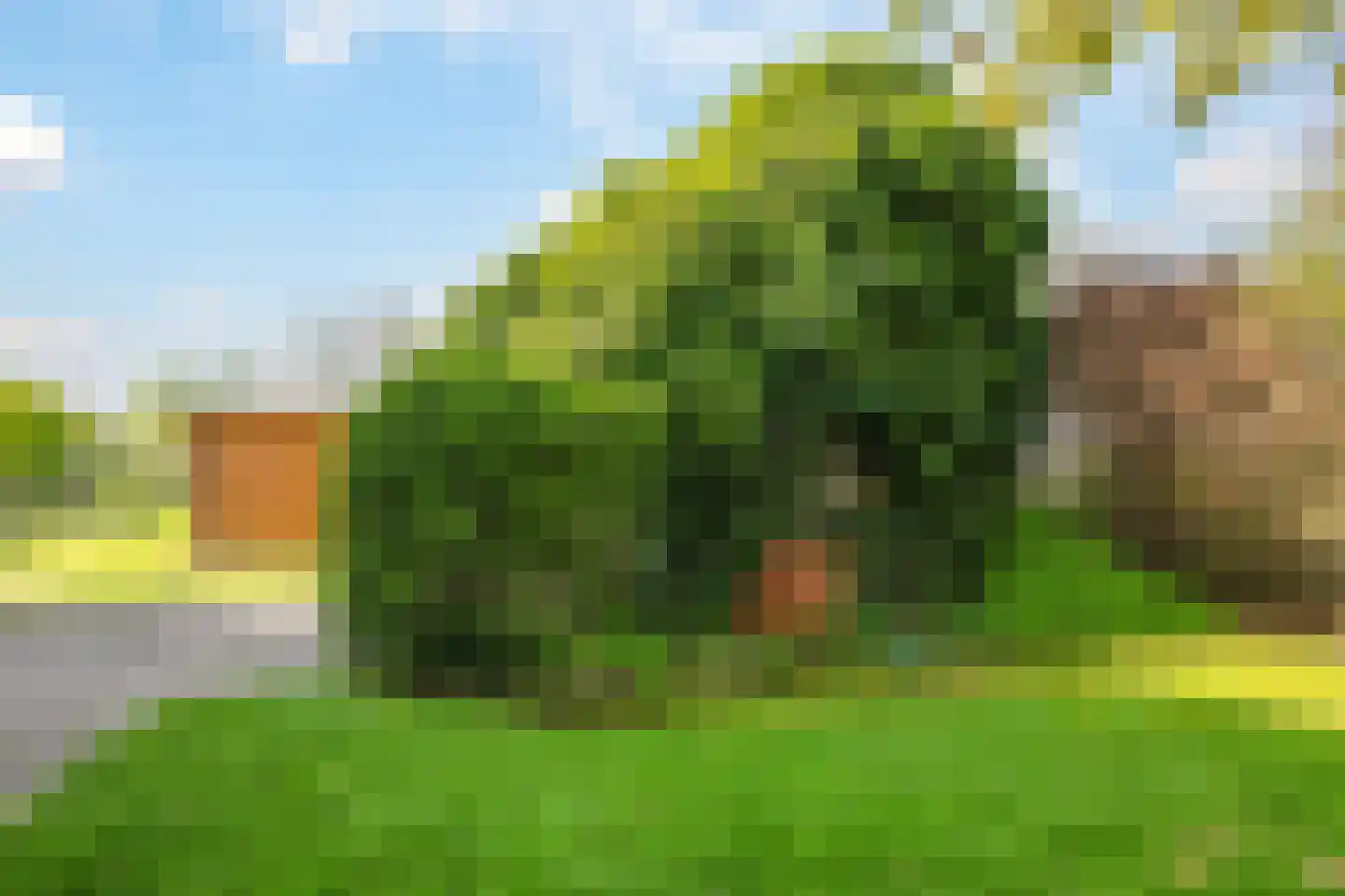 Rijndijk 9 Doornenburg thumbnail 95