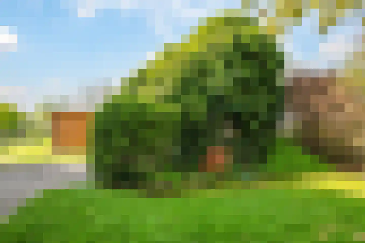 Rijndijk 9 Doornenburg thumbnail 95