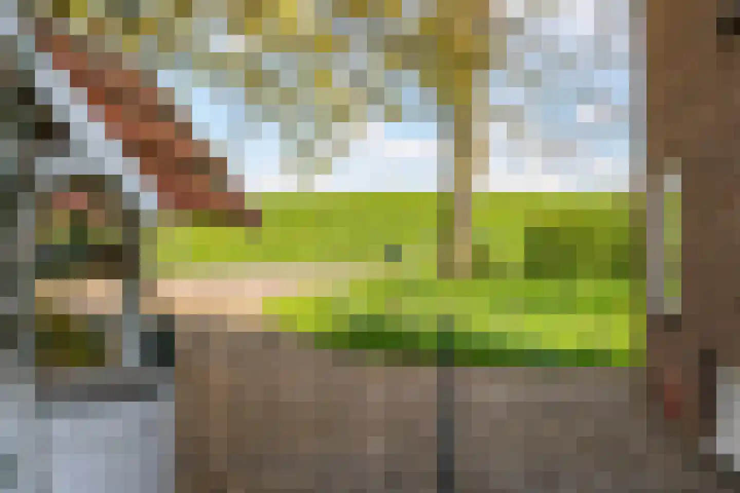 Rijndijk 9 Doornenburg thumbnail 96