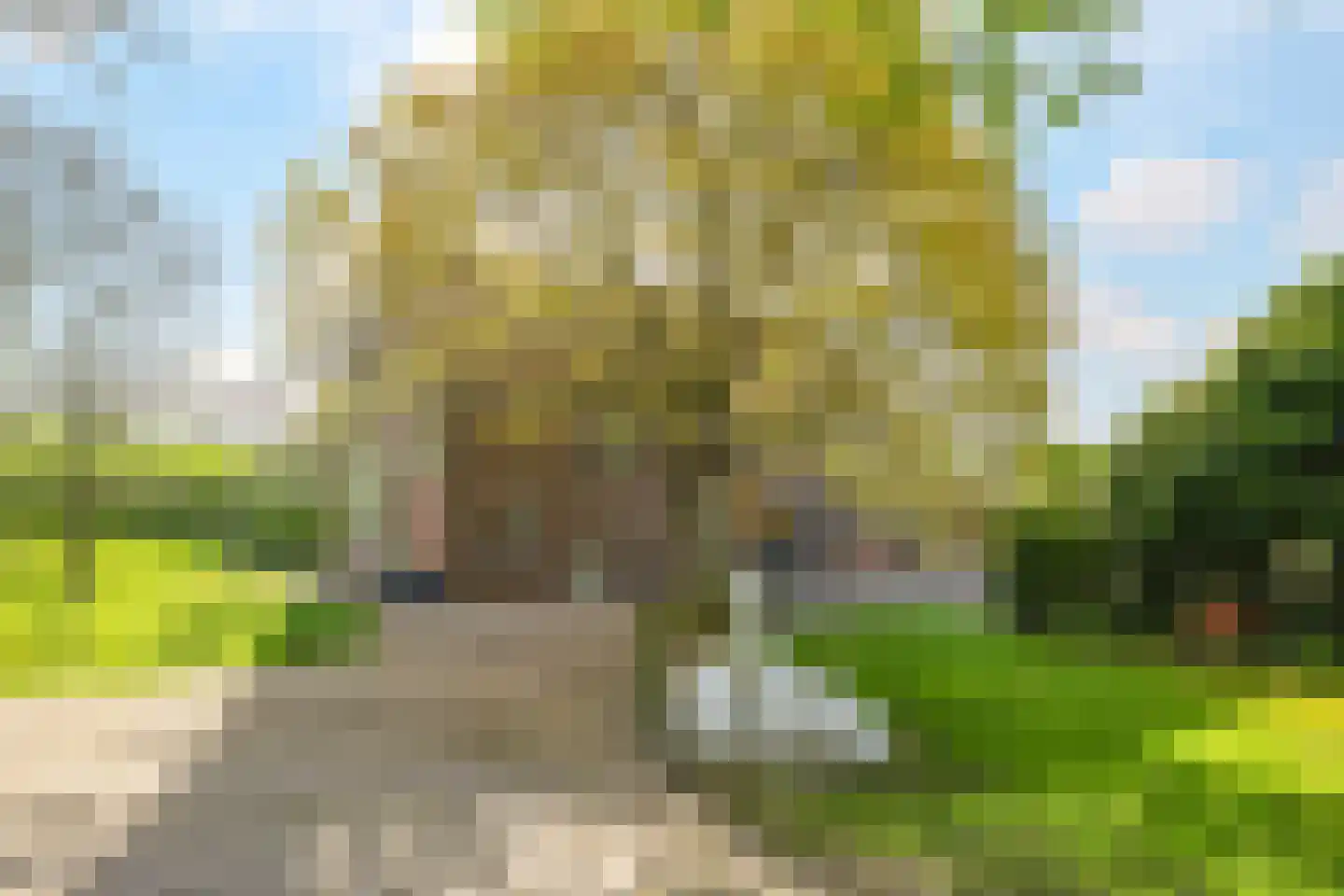 Rijndijk 9 Doornenburg thumbnail 97