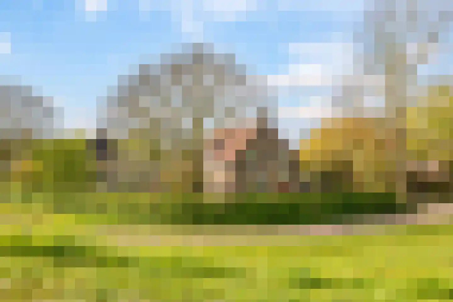 Rijndijk 9 Doornenburg thumbnail 99