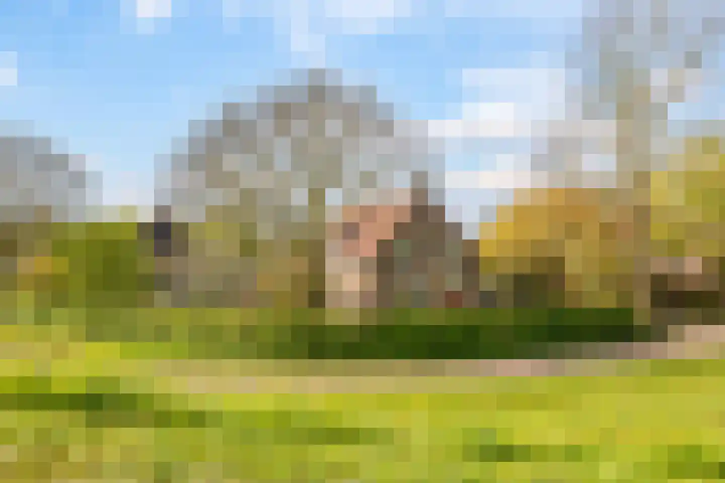 Rijndijk 9 Doornenburg thumbnail 99