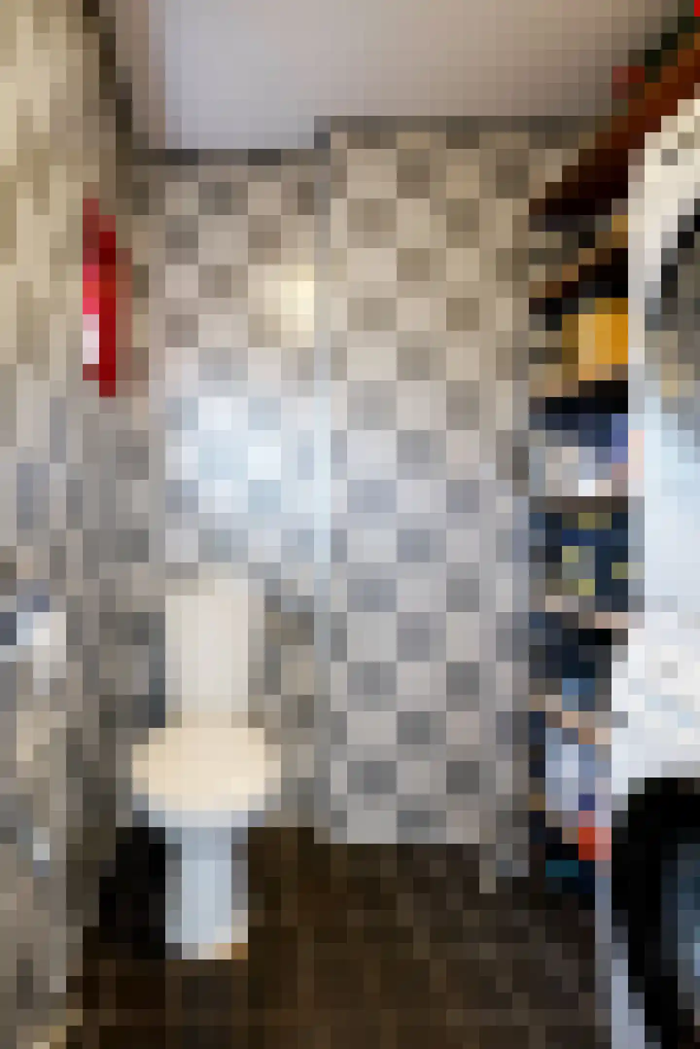 Rijndijkstraat 21 Leiden thumbnail 15