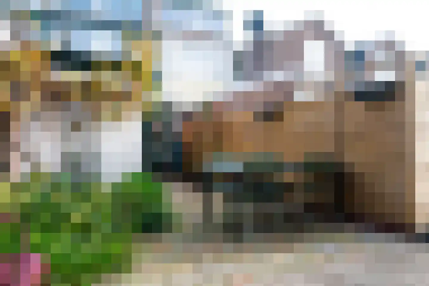 Rijndijkstraat 21 Leiden thumbnail 34