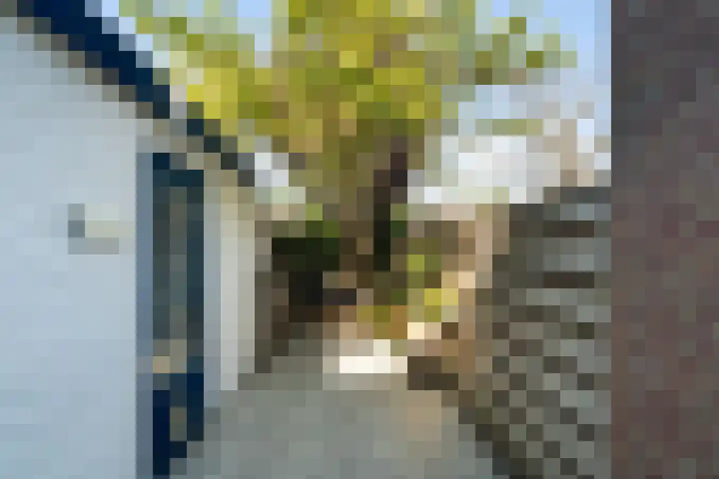 Rijndijkstraat 33 Leiden thumbnail 28