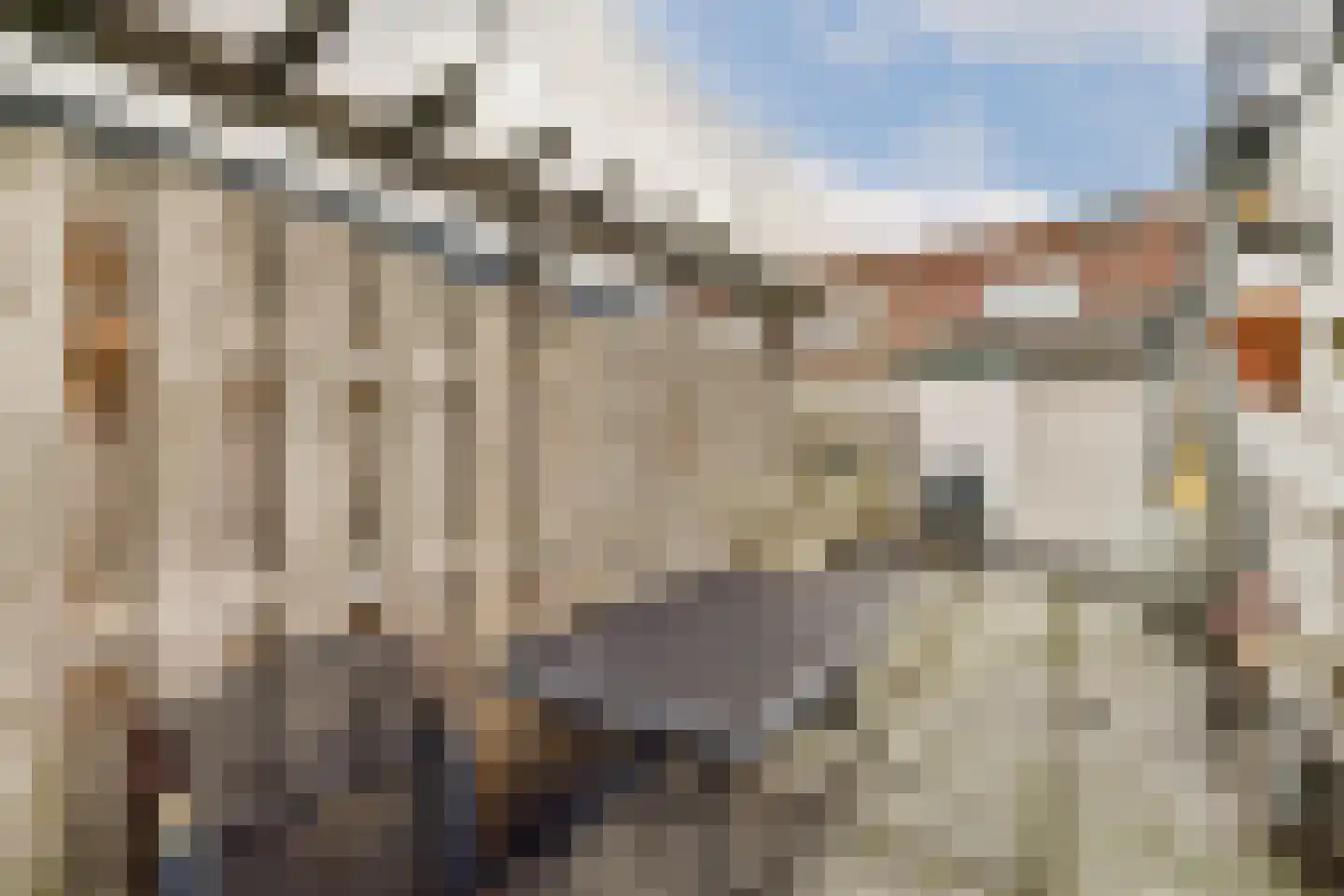 Rijndijkstraat 34 Leiden thumbnail 11