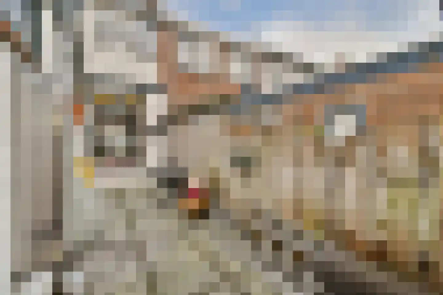 Rijndijkstraat 34 Leiden thumbnail 12