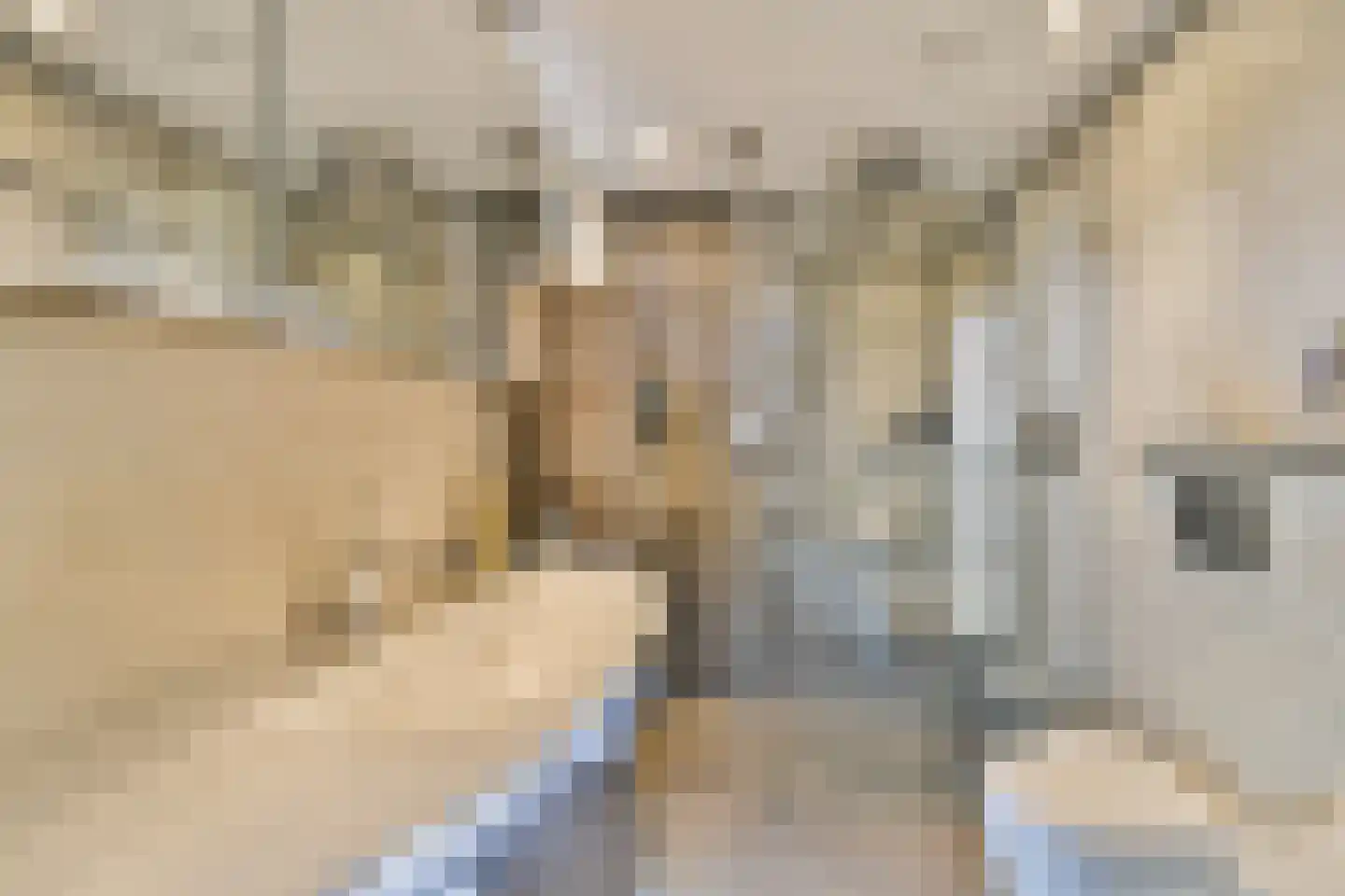 Rijndijkstraat 34 Leiden thumbnail 4