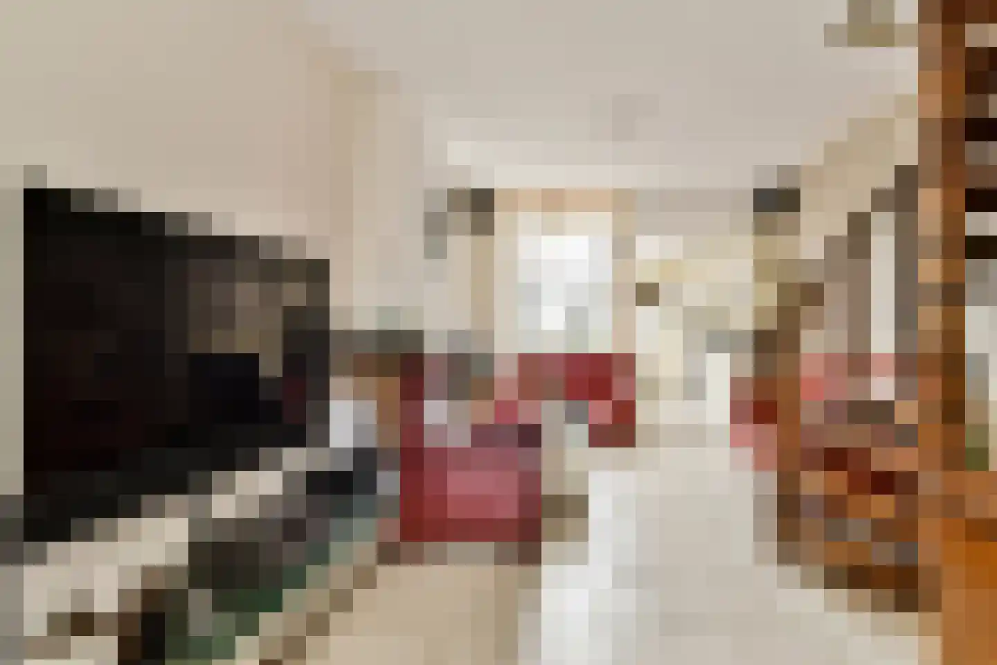 Rijndijkstraat 34 Leiden thumbnail 9