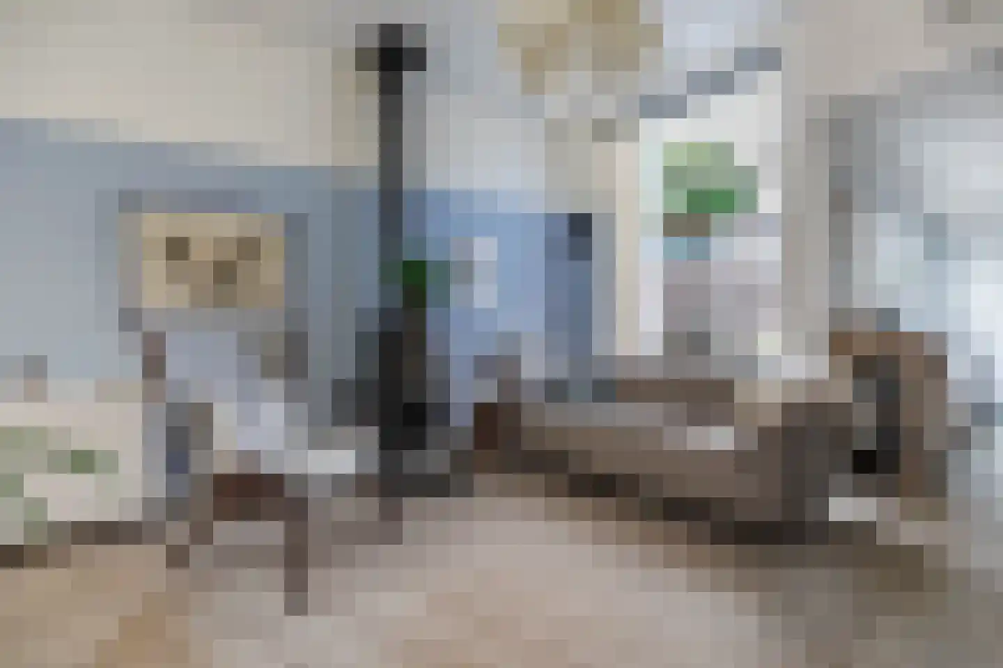 Rijndijkstraat 43 Leiden thumbnail 6