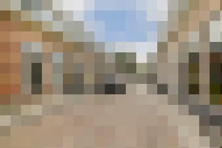 Rijndijkstraat 78 Leiden thumbnail 7