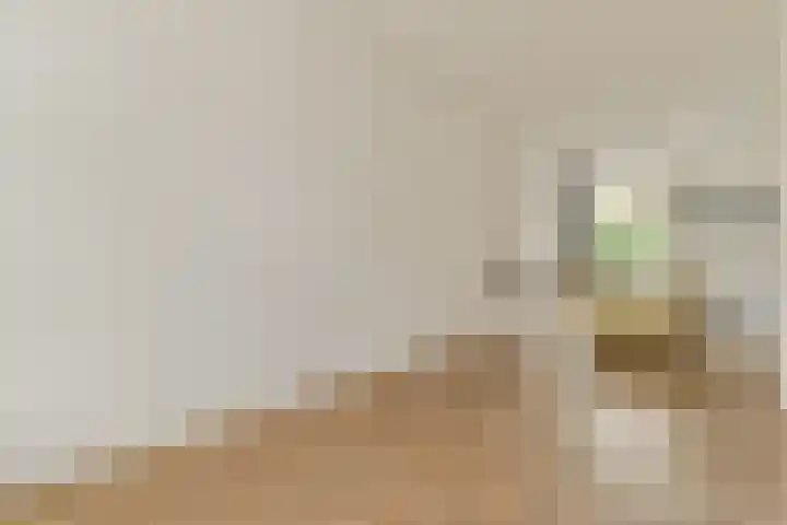 Rijndijkstraat 78 Leiden thumbnail 8