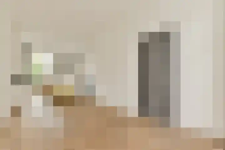 Rijndijkstraat 78 Leiden thumbnail 9