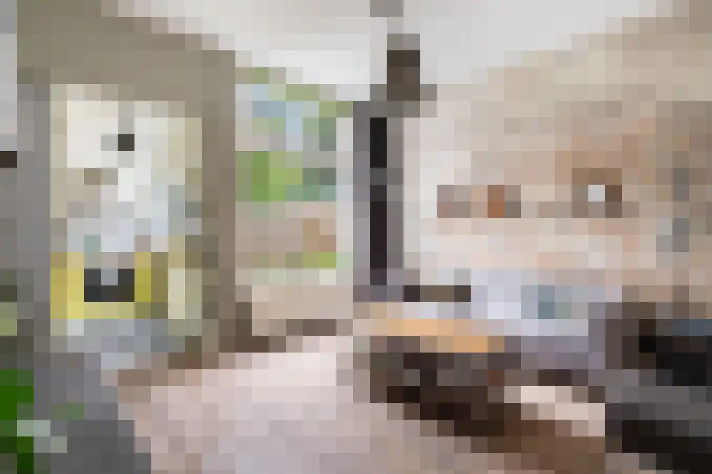 Rijndijkstraat 87 Leiden thumbnail 16