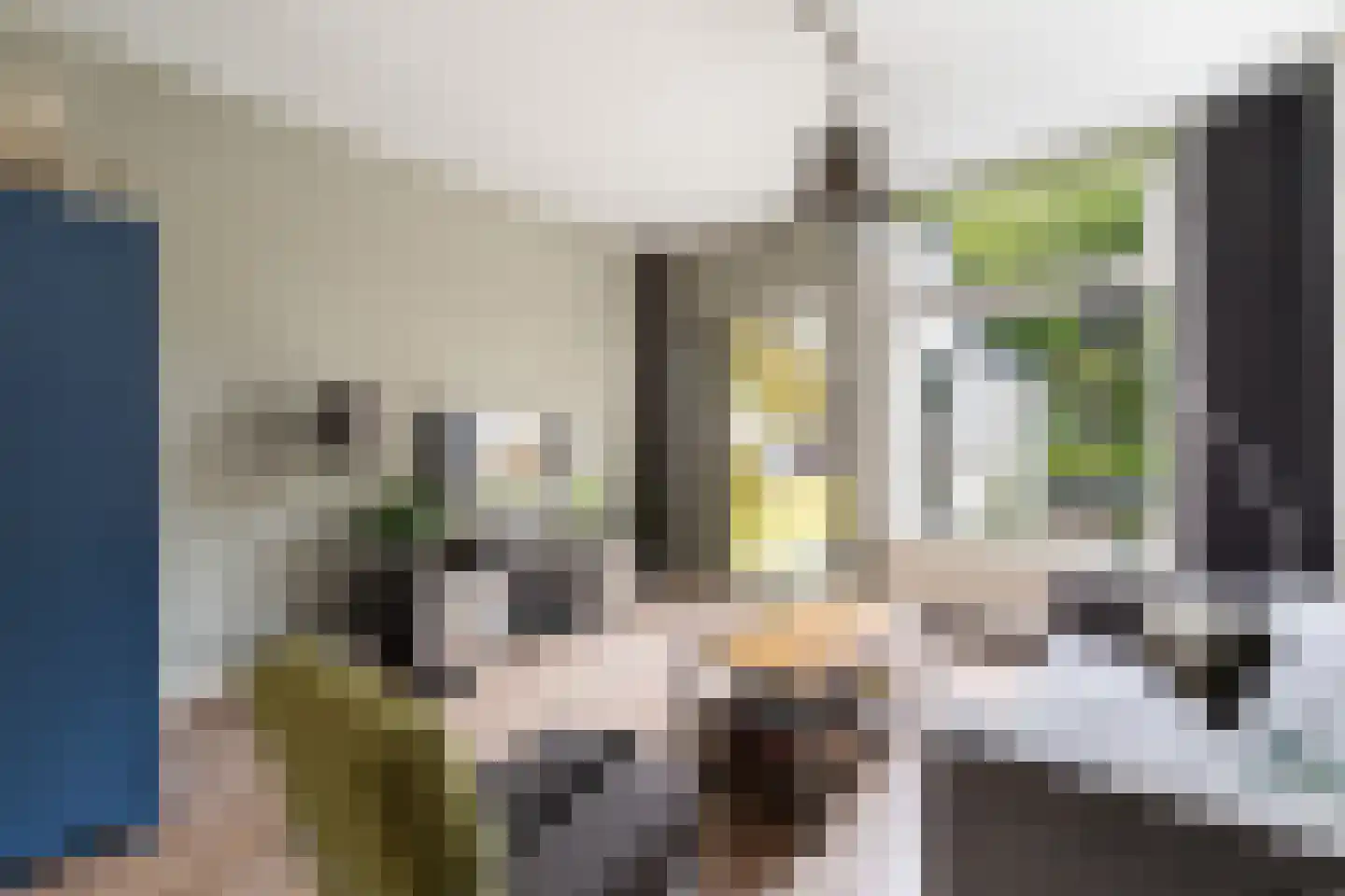 Rijndijkstraat 87 Leiden thumbnail 18
