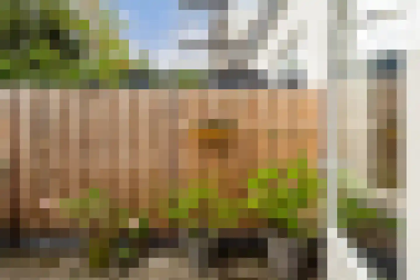 Rijndijkstraat 87 Leiden thumbnail 31