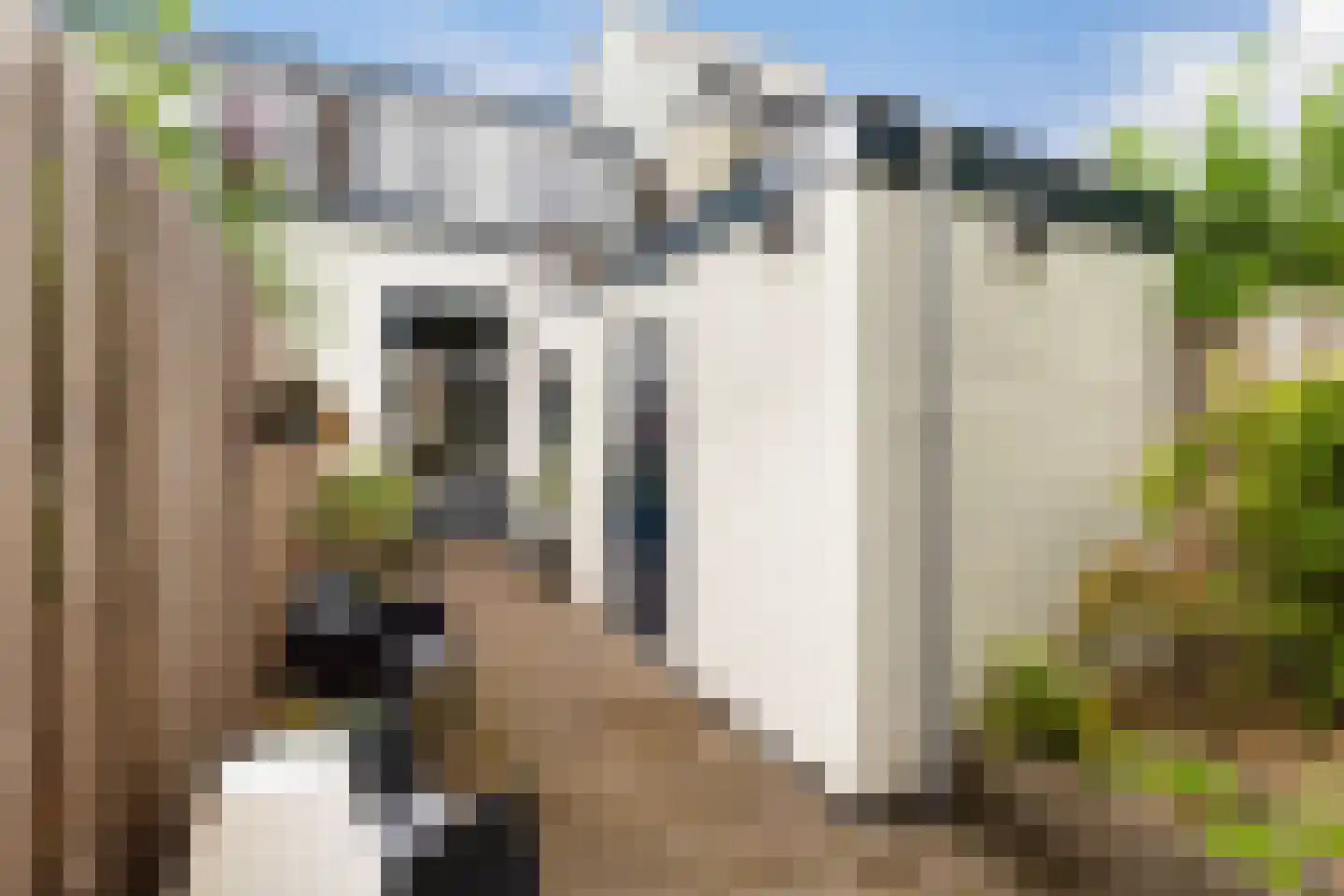 Rijndijkstraat 87 Leiden thumbnail 33