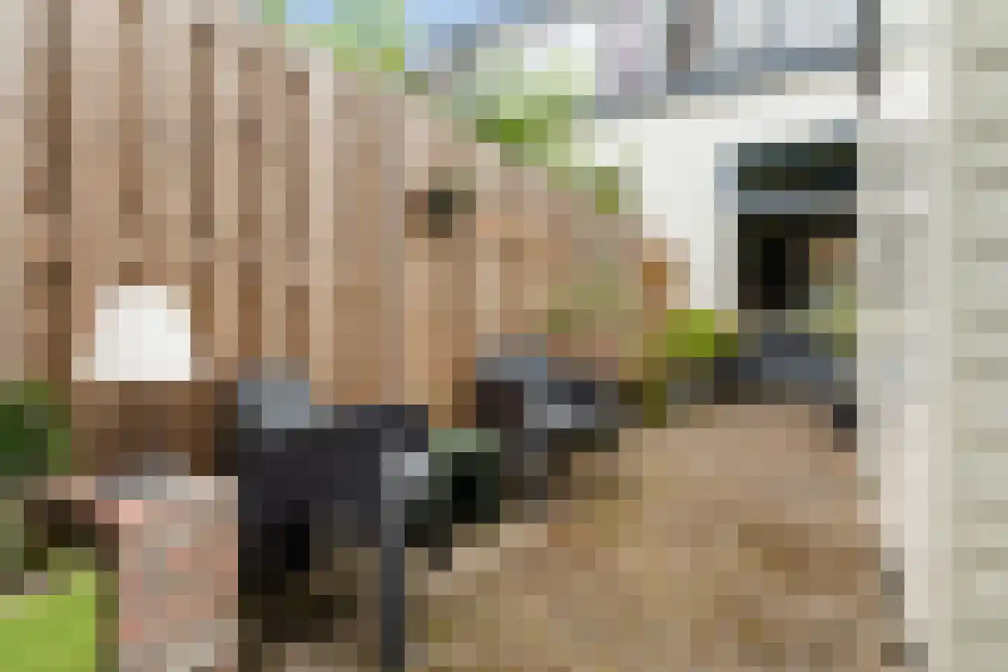 Rijndijkstraat 87 Leiden thumbnail 34