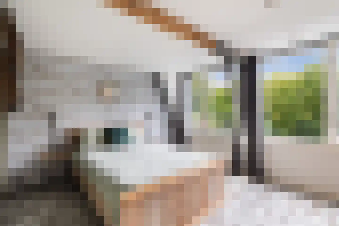 Rijndijkstraat 87 Leiden thumbnail 40