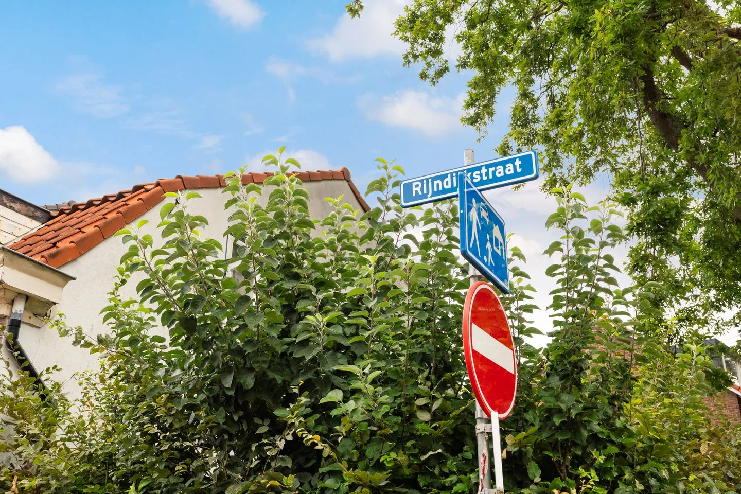 Rijndijkstraat 87 Leiden thumbnail 50