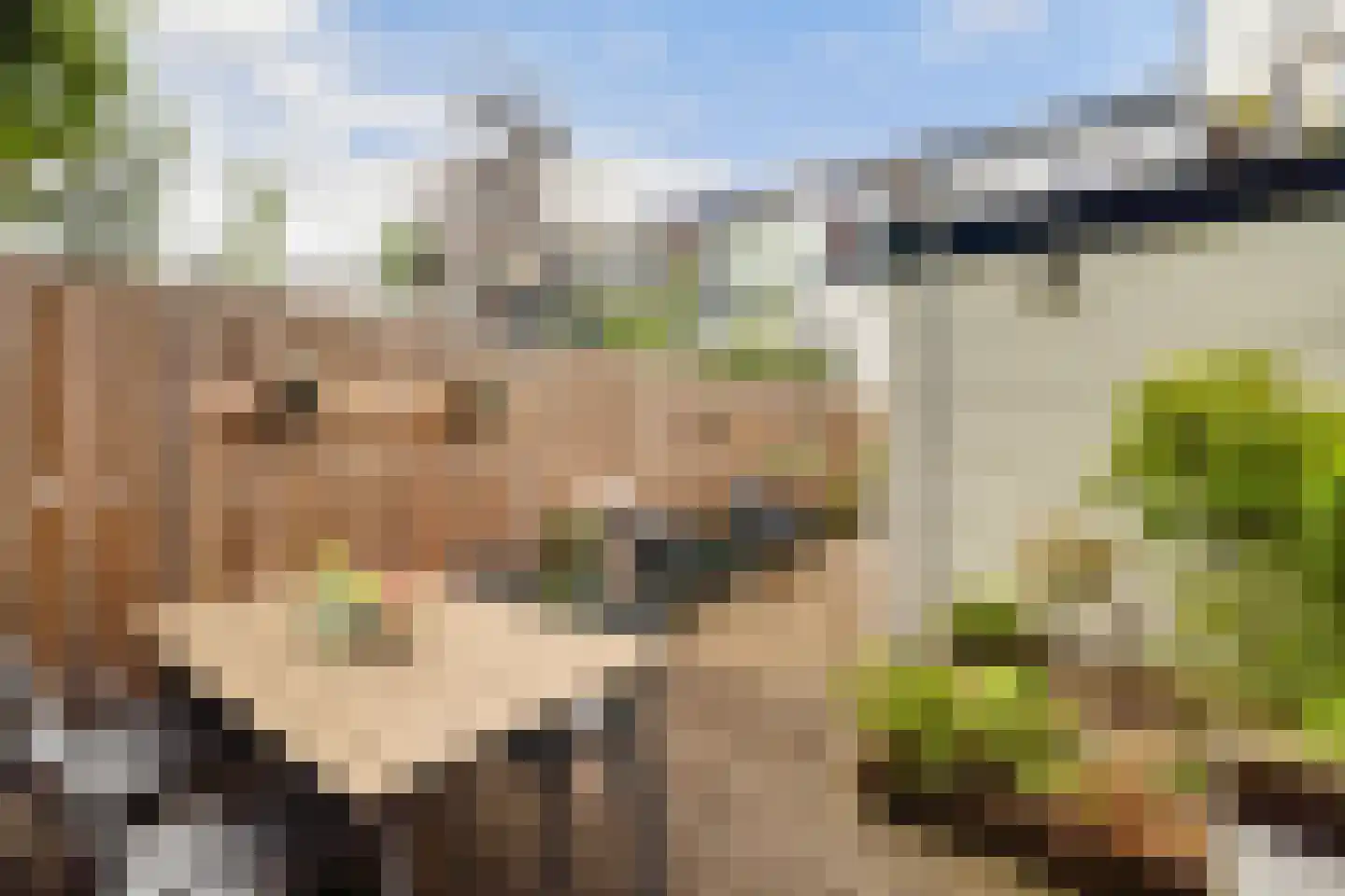 Rijndijkstraat 87 Leiden thumbnail 51