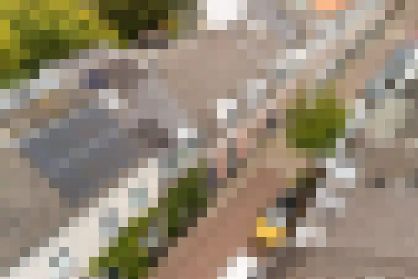 Rijndijkstraat 87 Leiden thumbnail 8