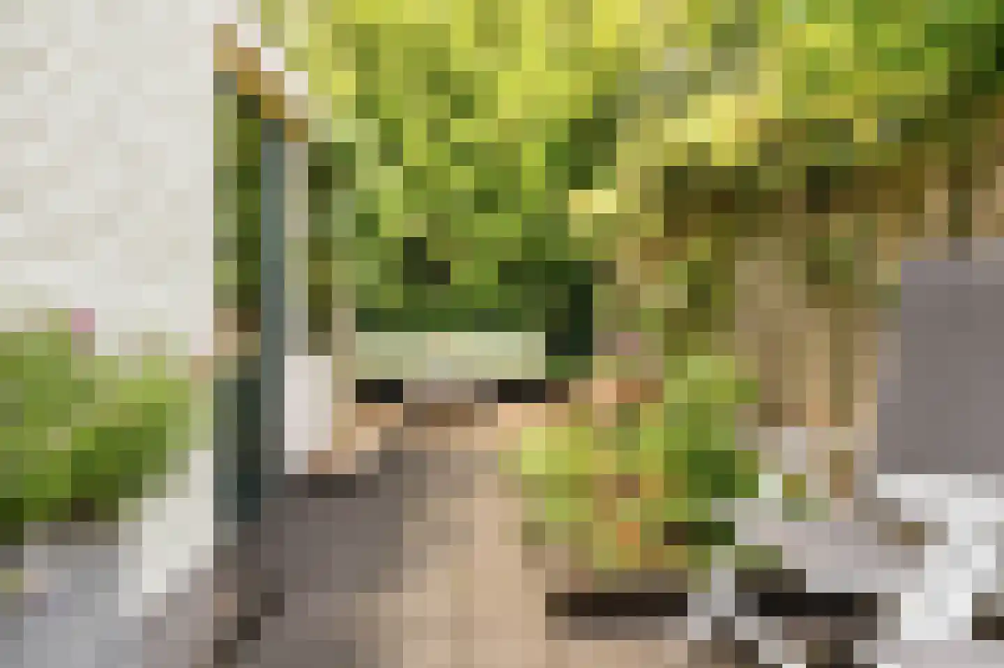 Rijndijkstraat 91 Leiden thumbnail 12