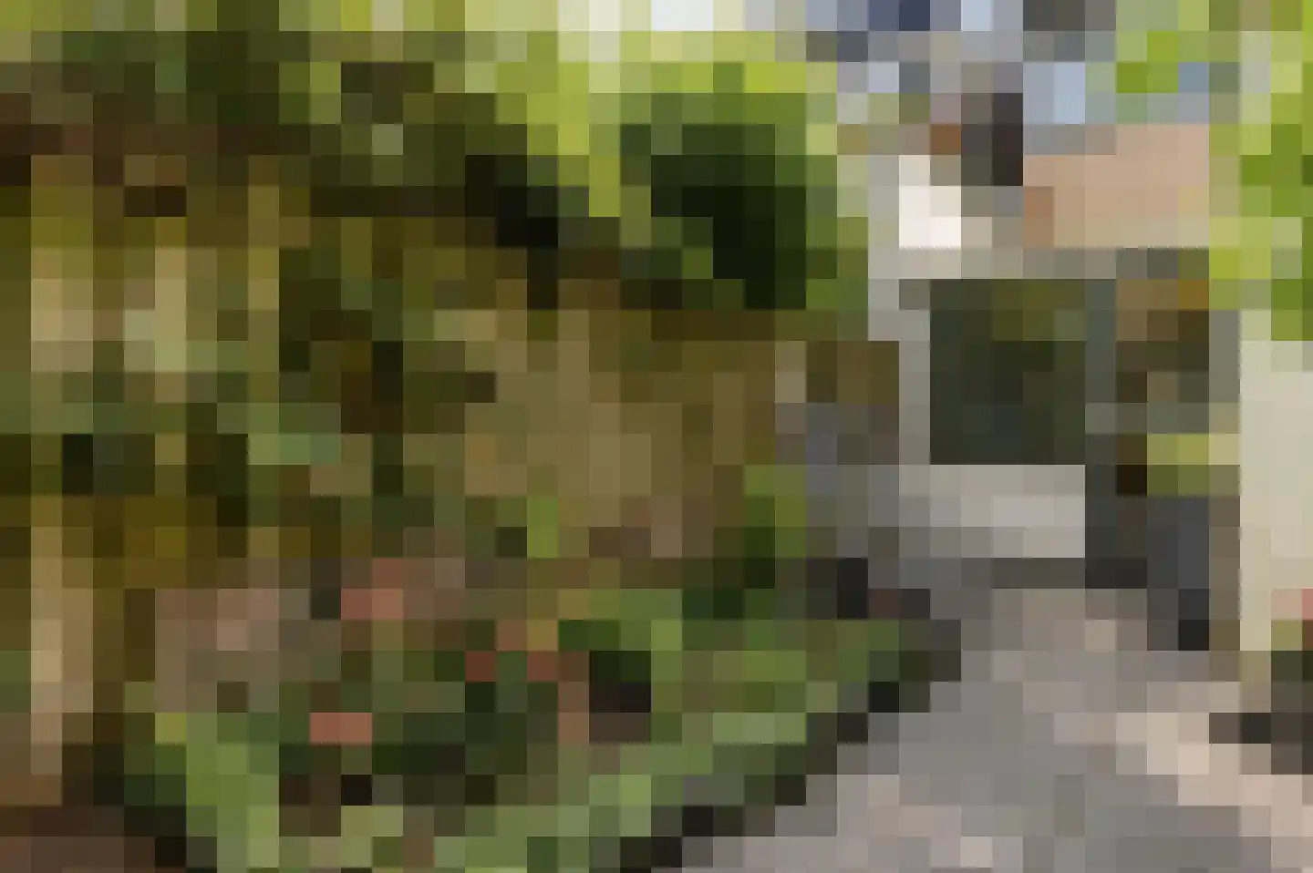 Rijndijkstraat 91 Leiden thumbnail 13