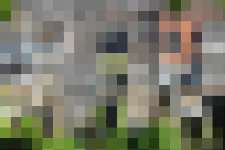 Rijndijkstraat 95 Leiden thumbnail 8