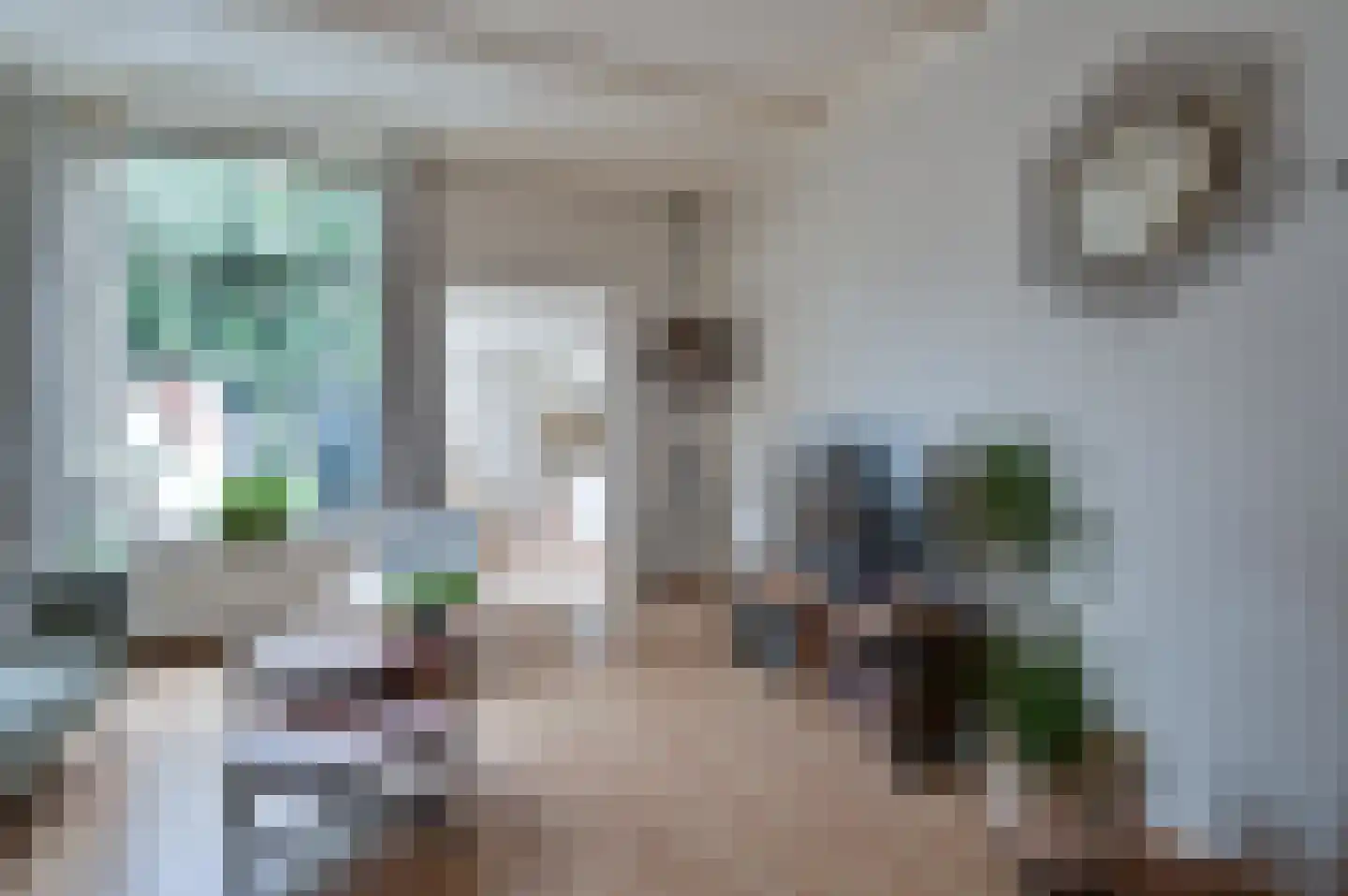 Rijndijkstraat 97 Leiden thumbnail 10