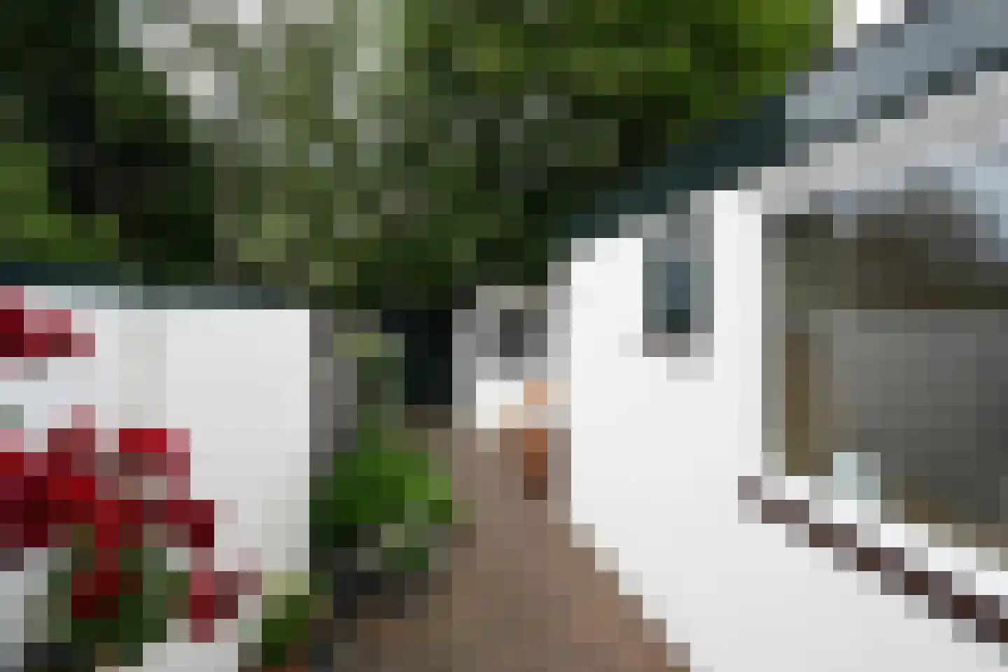 Rijndijkstraat 97 Leiden thumbnail 11