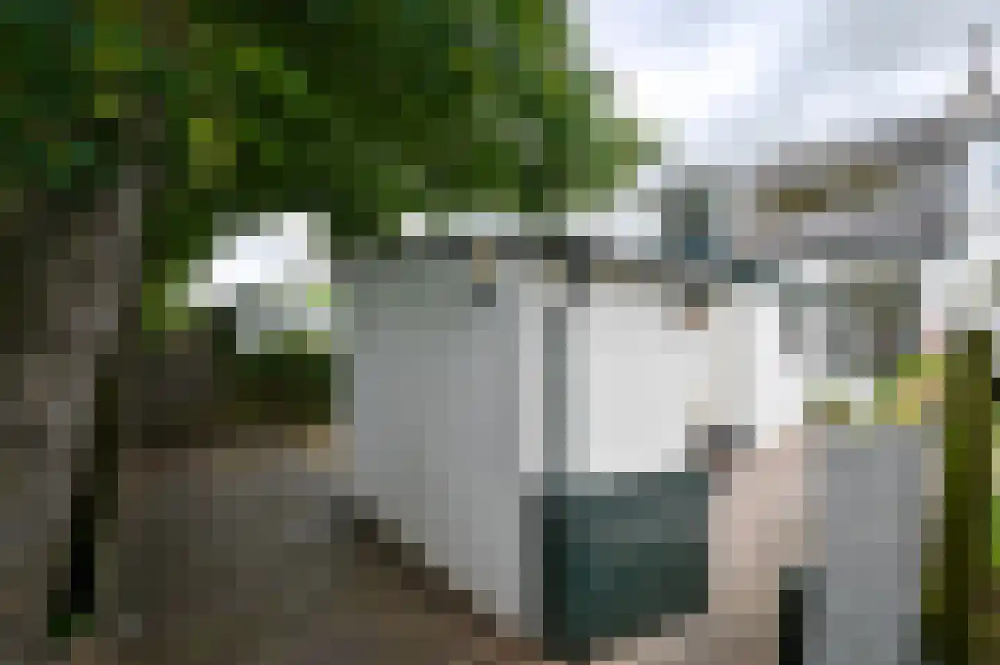Rijndijkstraat 97 Leiden thumbnail 12